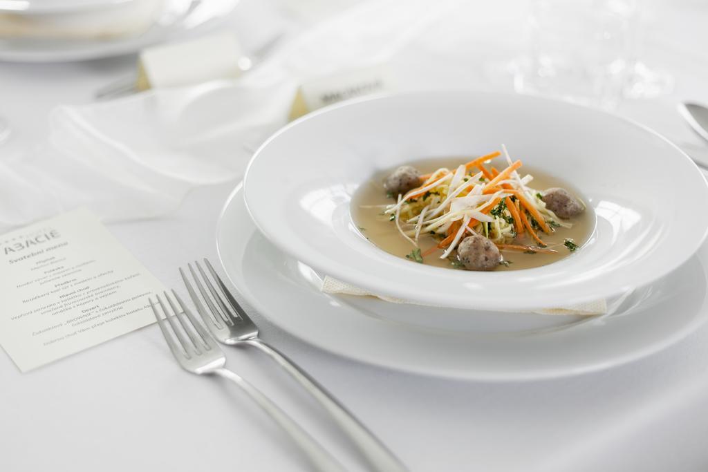 Wellness Hotel Abacie Nový Jičín 외부 사진